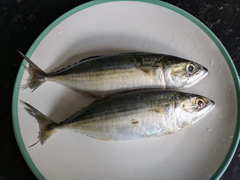 Deux maquereaux frais entiers aux écailles argentées posés sur une assiette en céramique blanche