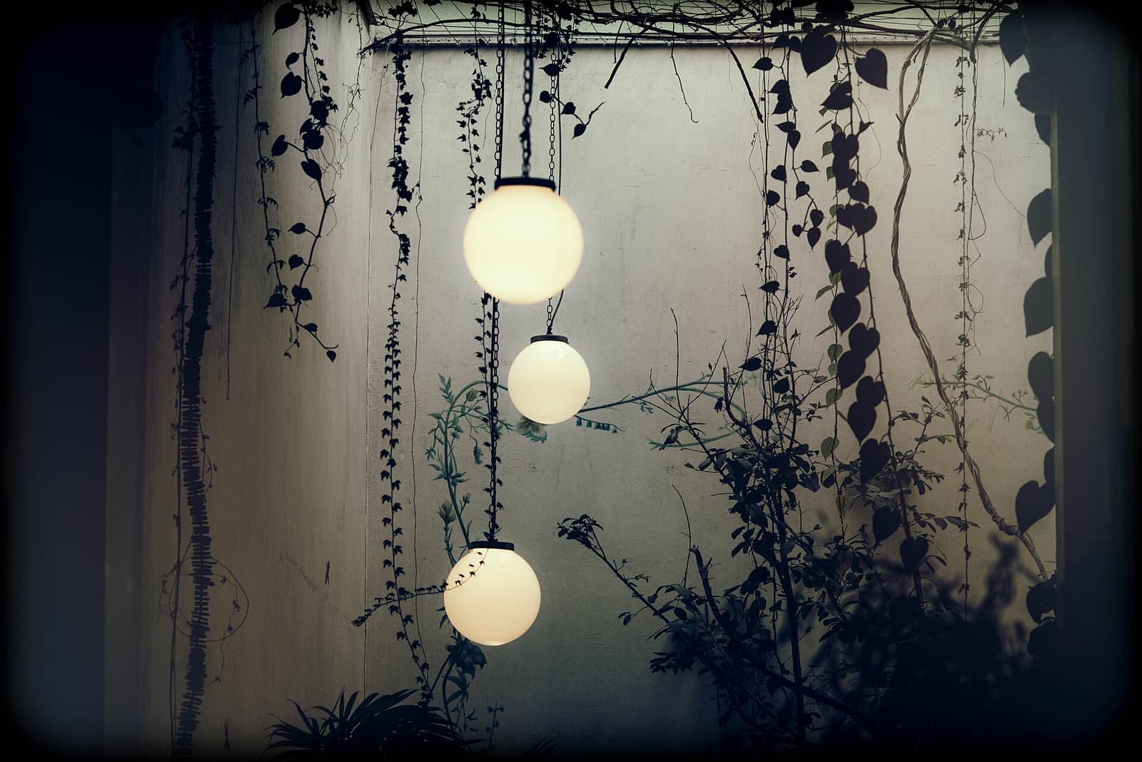 Bolvormige lampen en klimplanten tegen een witte muur bij Rosetta in Roma Norte, Mexico-Stad