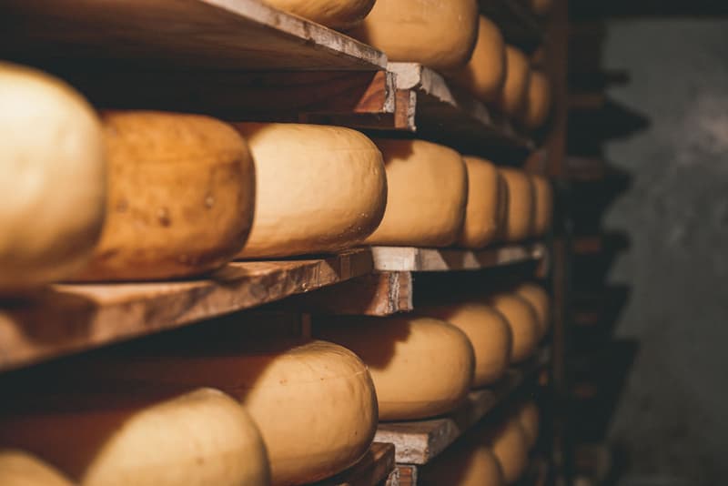 Meules de type gouda affinées sur des planches de bois dans une cave de ferme