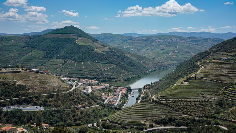 Vue aérienne de vignobles en terrasses et d'un village le long du Douro