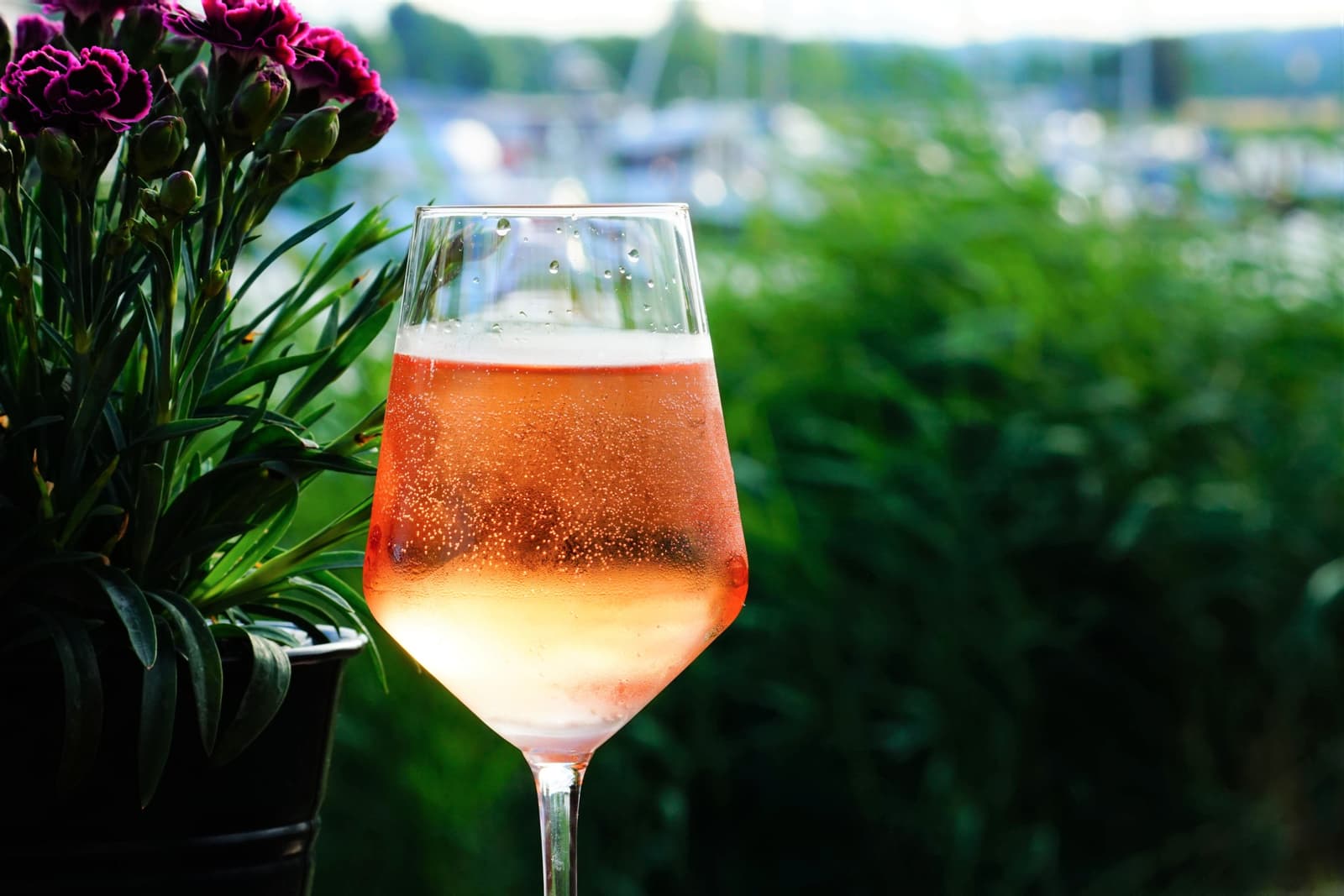 Copa de vino espumoso claro al aire libre con luz natural suave