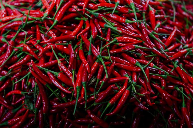 Een hoop verse rode chilipepers met de steeltjes er nog aan