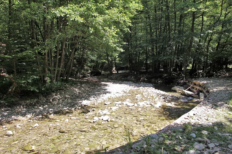 Bos en een ondiepe, stenige beek in het nationaal park Foreste Casentinesi in de Apennijnen