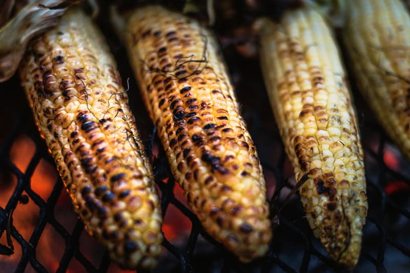 Épis de maïs qui noircissent sur un gril ouvert pour préparer l'elote