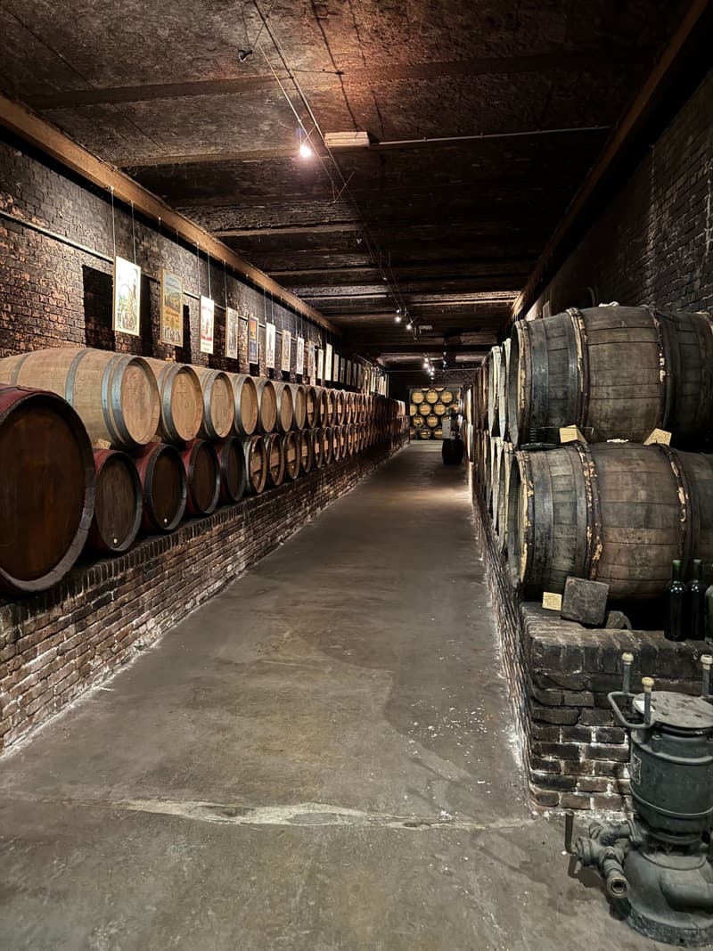 Des rangées de barriques de chêne vieillissant dans une longue cave historique