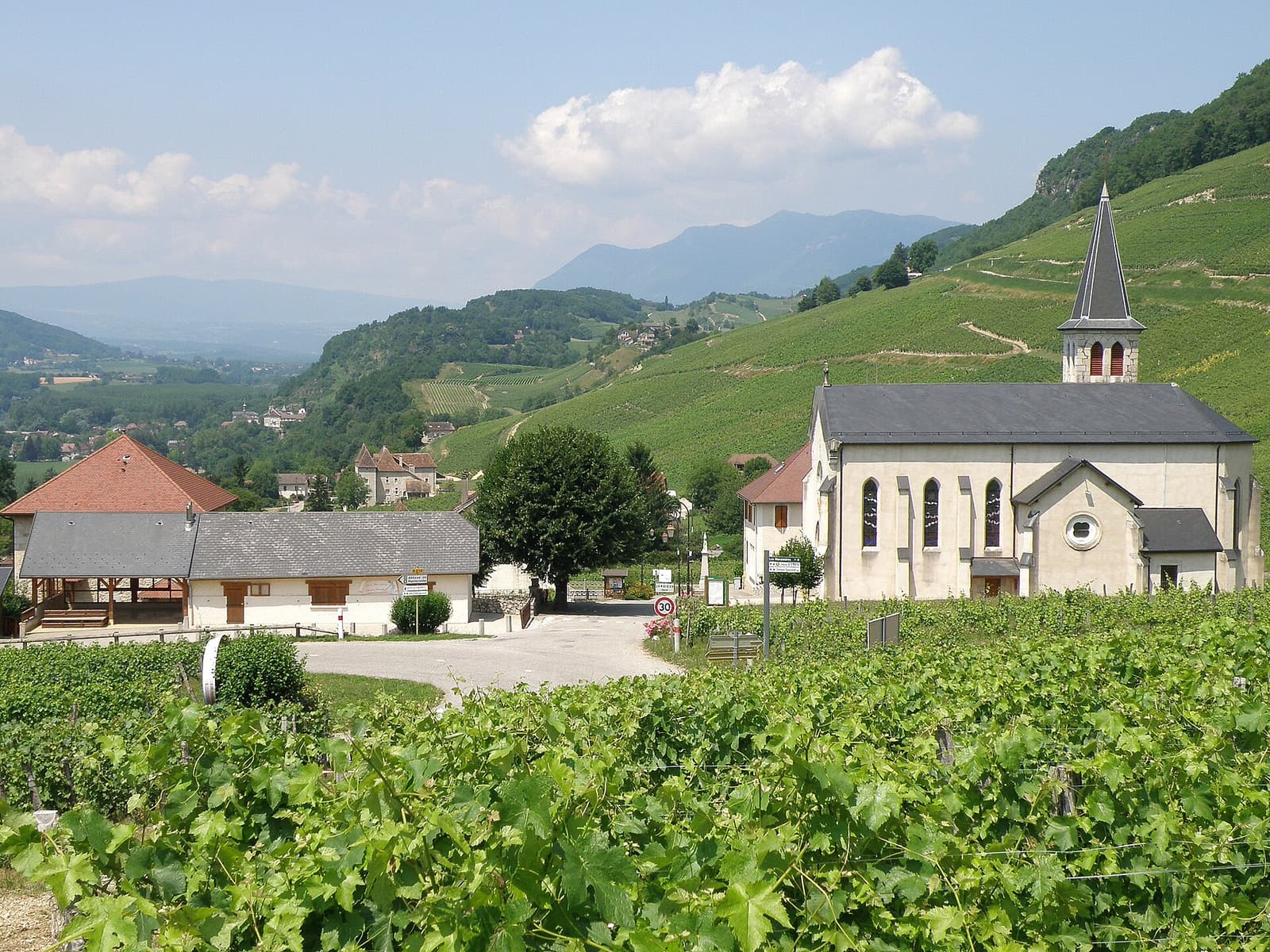Vigneti e chiesa del paese di Jongieux, in Savoia