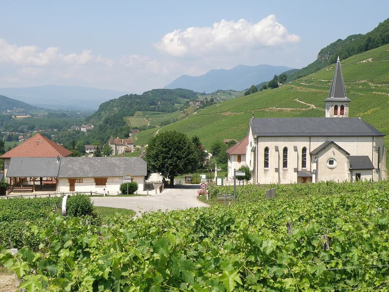 Vigneti e chiesa del paese di Jongieux, in Savoia