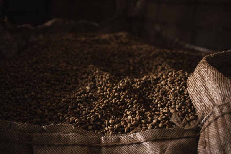 Grains de café vert qui débordent d'un sac de jute dans une lumière tamisée