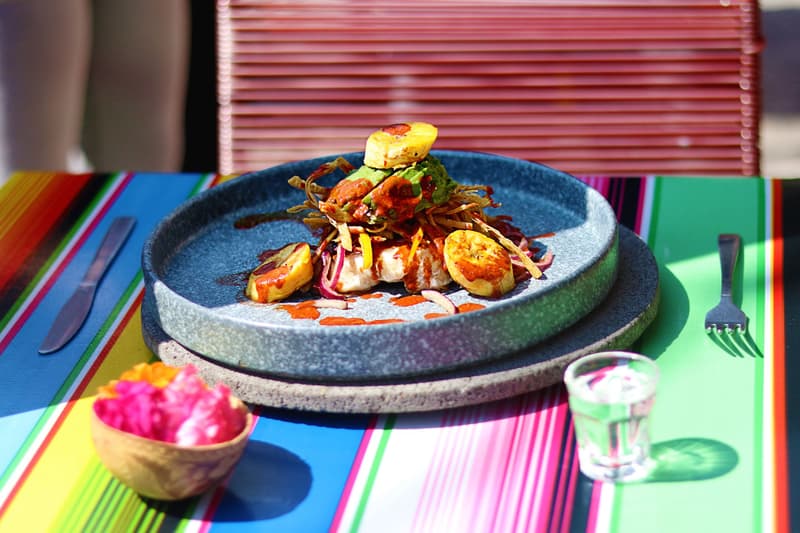 Colorful plated Mexican dish with grilled garnish on a striped tablecloth