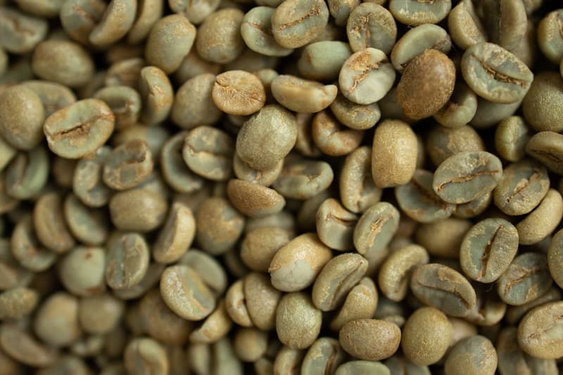 Gros plan de grains de café robusta verts non torréfiés entassés