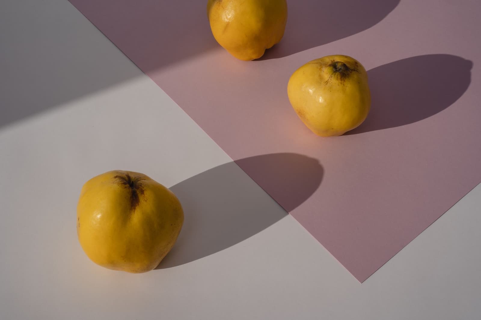 Tre mele cotogne mature di colore giallo su uno sfondo rosa e grigio