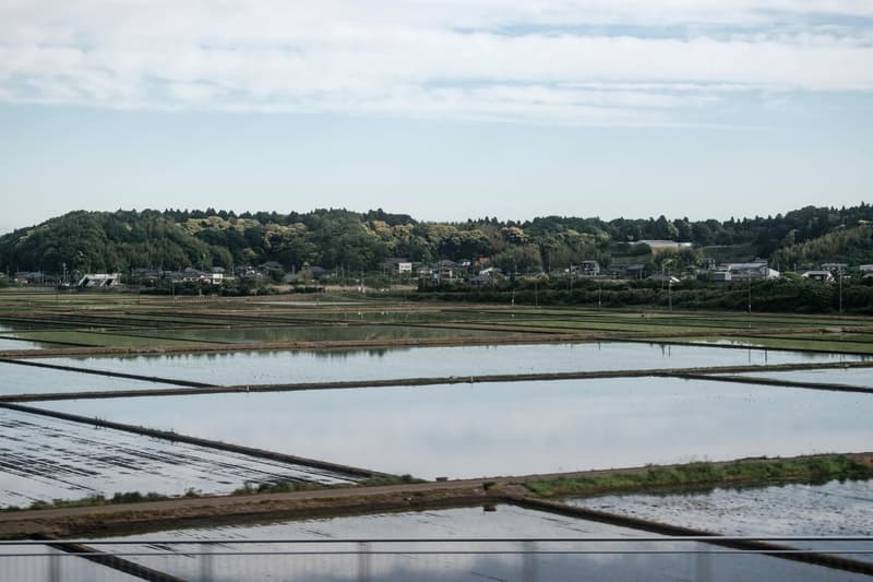 Des rizières inondées reflètent le ciel près d'un village rural japonais