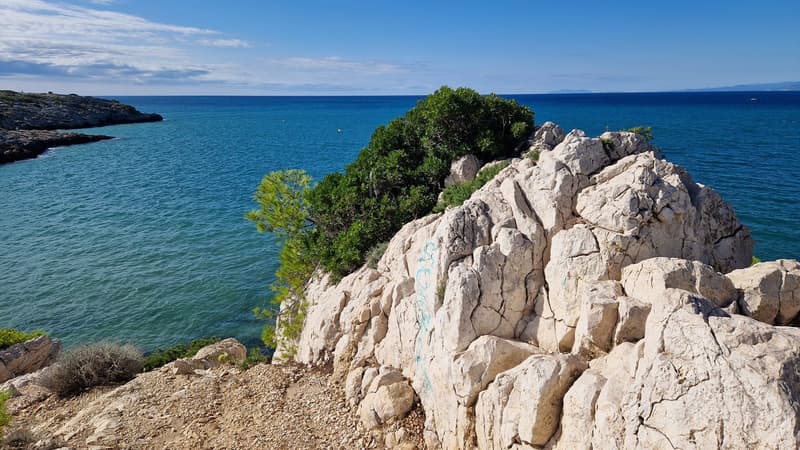Felsige Bucht mit Pinien an der Küste von Salou an der Costa Daurada