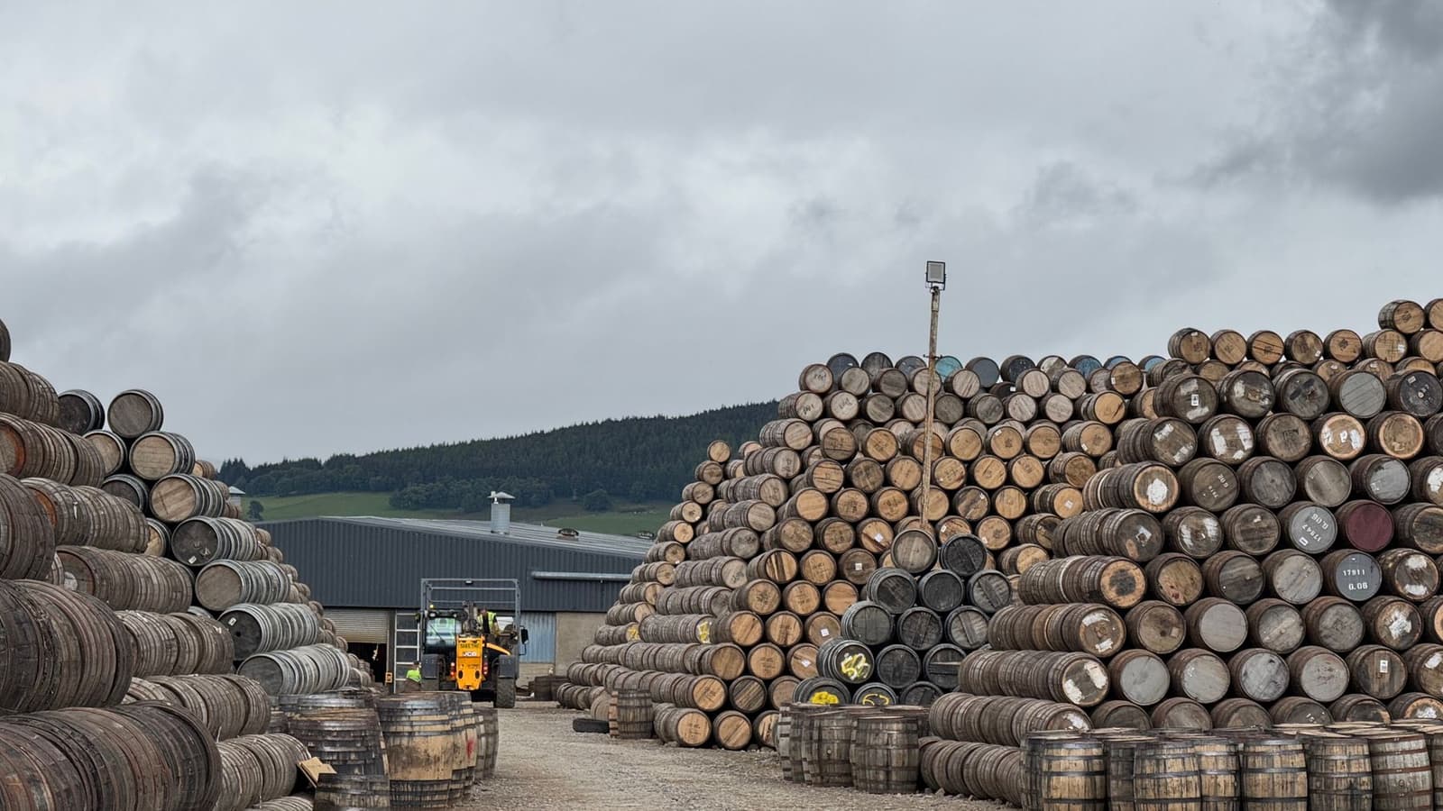 Stacked oak whisky casks at a Scottish Highlands distillery warehouse