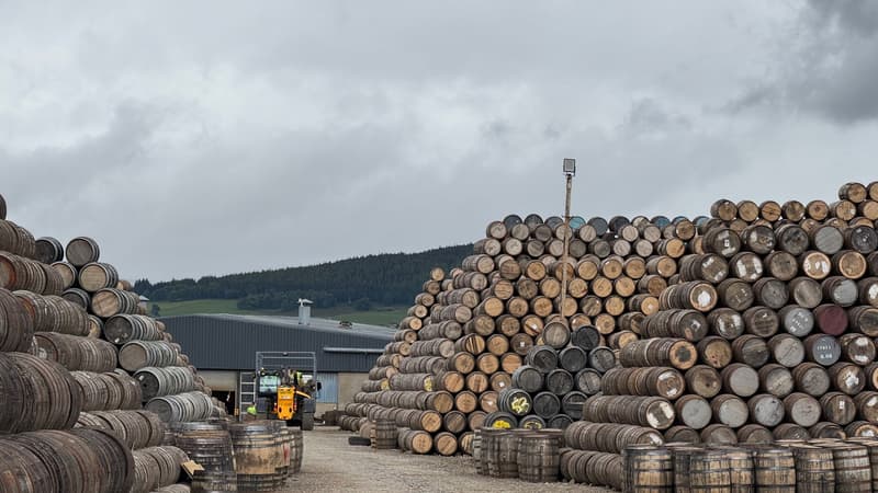 Stacked oak whisky casks at a Scottish Highlands distillery warehouse