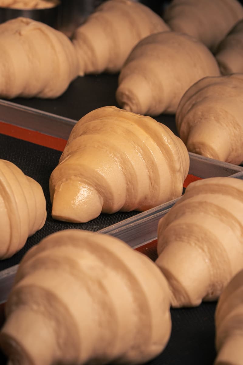Rangées de croissants façonnés et crus en train de pousser sur une plaque