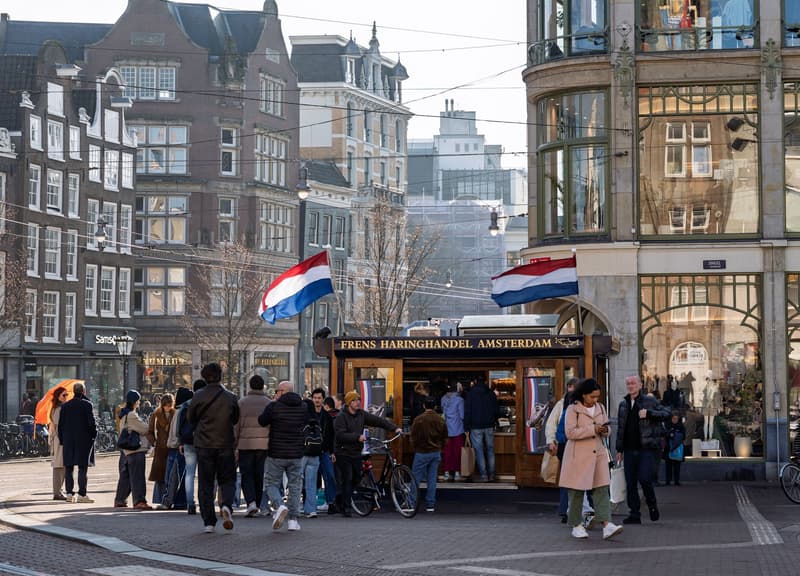 Fila davanti al banco dell'aringa Frens Haringhandel a Koningsplein, Amsterdam, tra bandiere olandesi