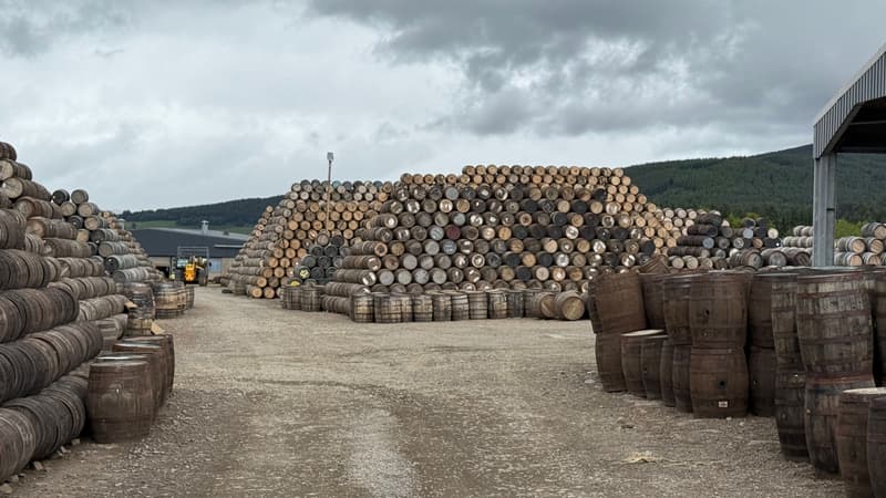 Botti di whisky impilate nel magazzino di una distilleria scozzese