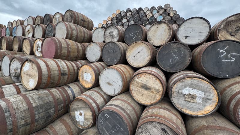 Rangées de fûts de chêne empilés dans la cour d'une distillerie écossaise