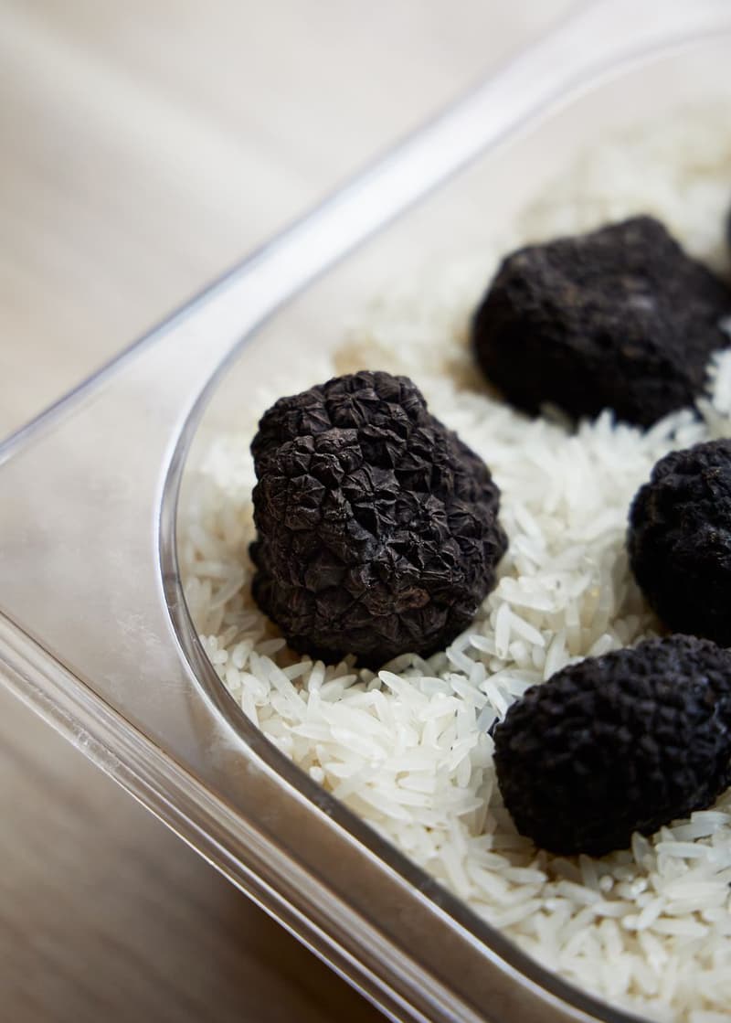 Truffes noires et blanches entières posées sur un lit de riz carnaroli cru