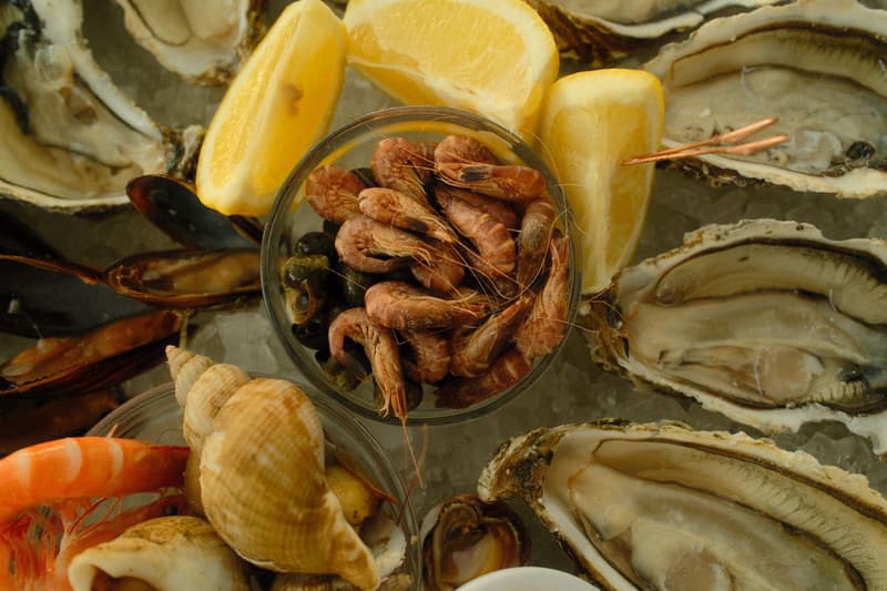 Austern, Garnelen und Muscheln auf einer Meeresfrüchteplatte mit Eis