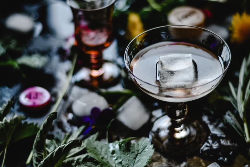 Cocktail with a single ice cube in a coupe among wild leaves and flowers