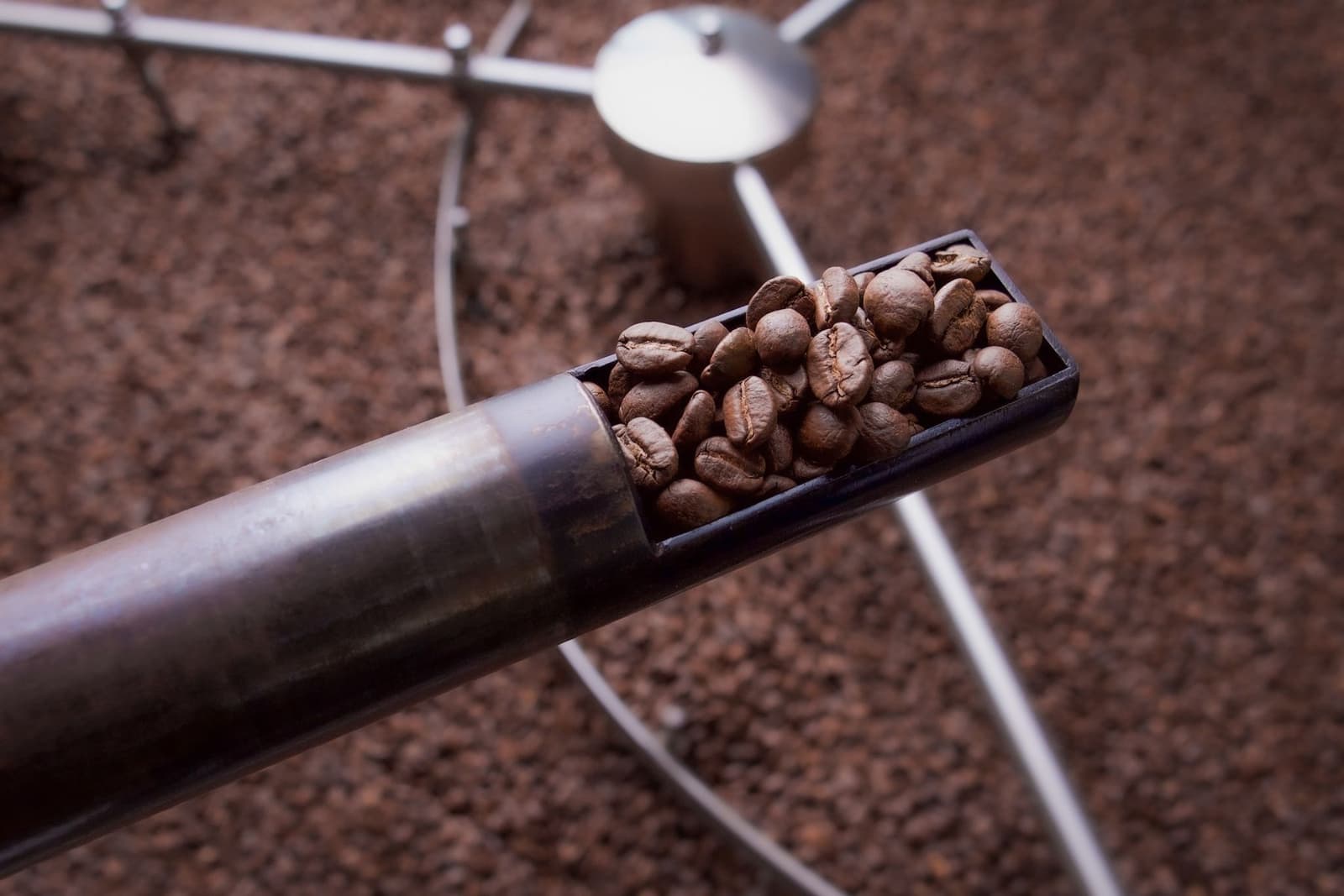 Freshly roasted coffee beans scooped from a roasting drum