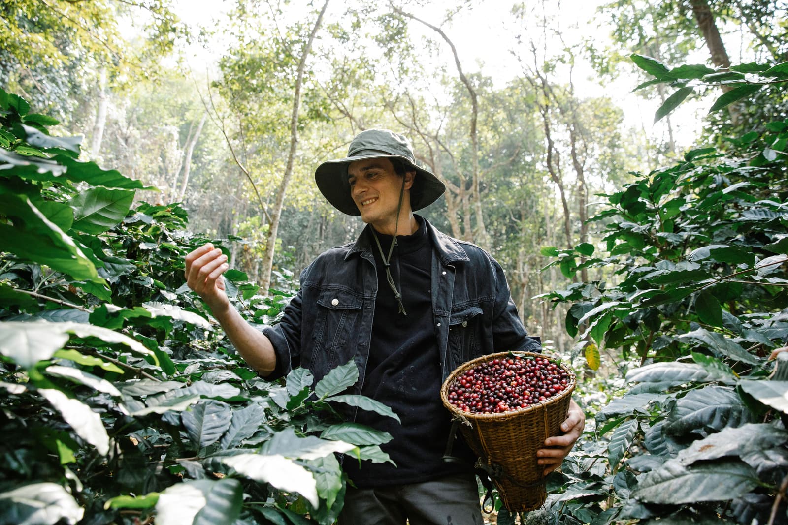 A coffee farmer holding a woven basket full of ripe coffee cherries