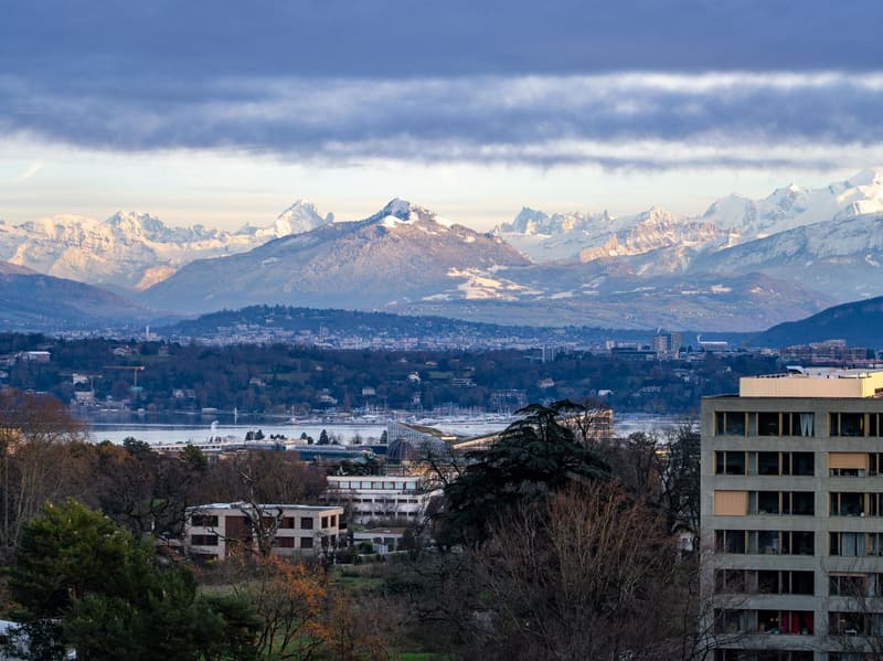 Skyline di Ginevra sul lago con le Alpi sullo sfondo