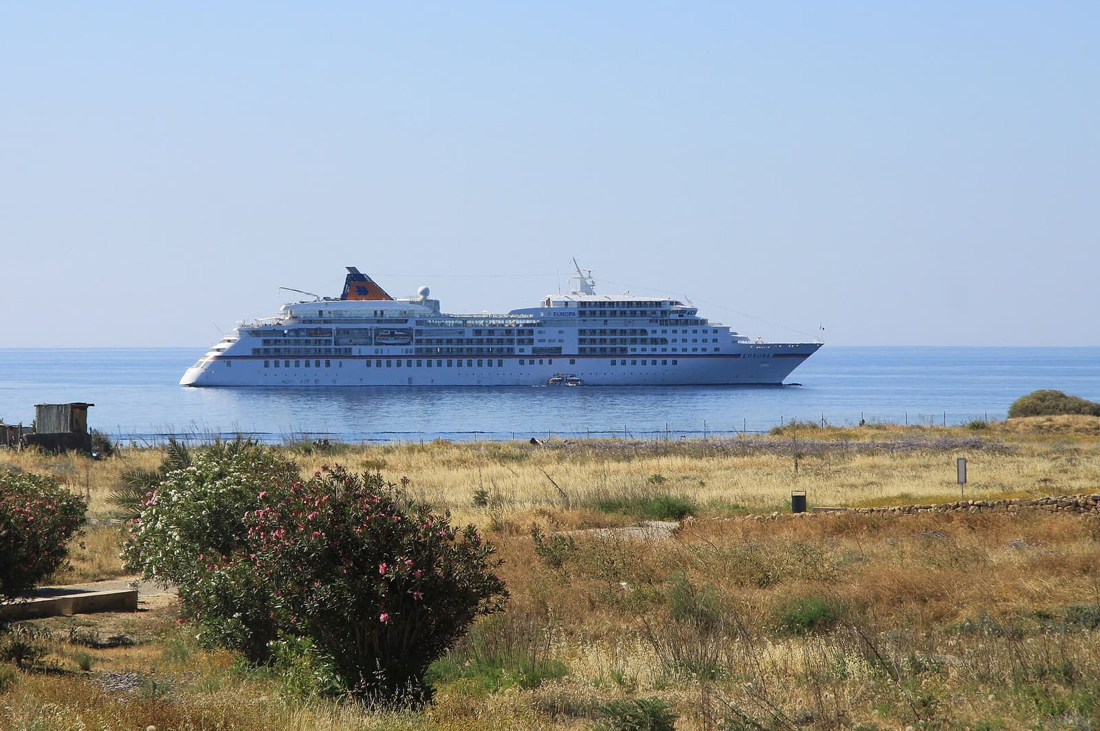 Nave da crociera bianca MS Europa all'ancora davanti a una costa arida con oleandri