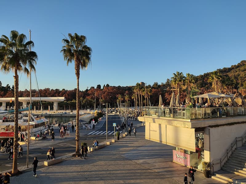 Passeggiata con palme e terrazze di Muelle Uno nel porto di Malaga al tramonto