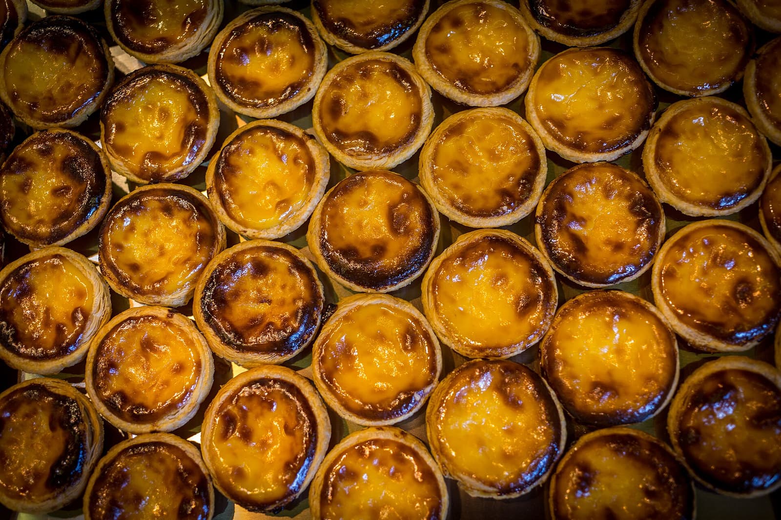 File di pastéis de nata appena sfornati con macchie scure bollate sulla crema, viste dall'alto