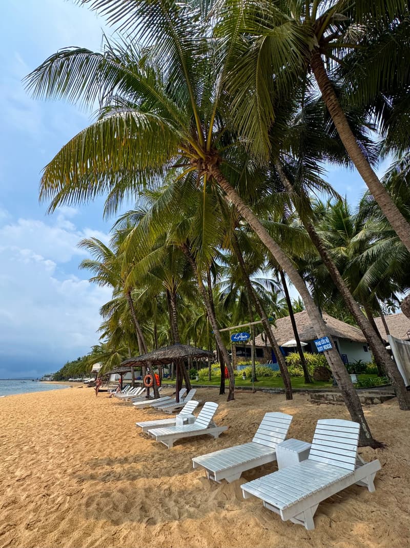 Playa bordeada de palmeras con tumbonas blancas en la isla de Phu Quoc, Vietnam